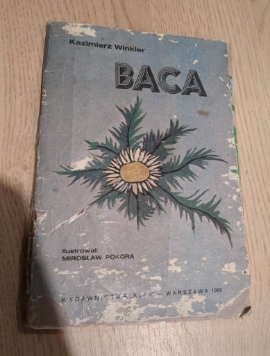 Zdjęcie oferty: Baca Rinaldo     