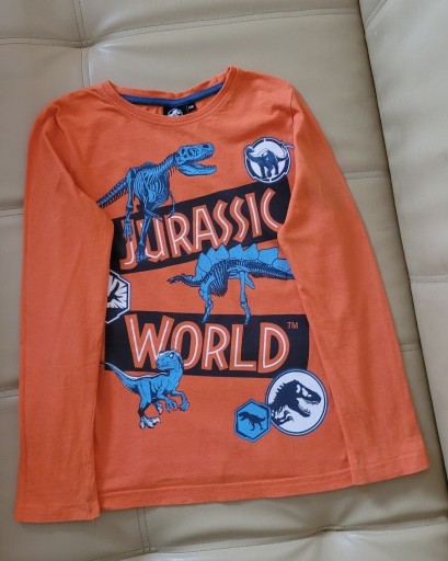 Zdjęcie oferty: Bluza chłopięca rozmiar 128 w dinozaury