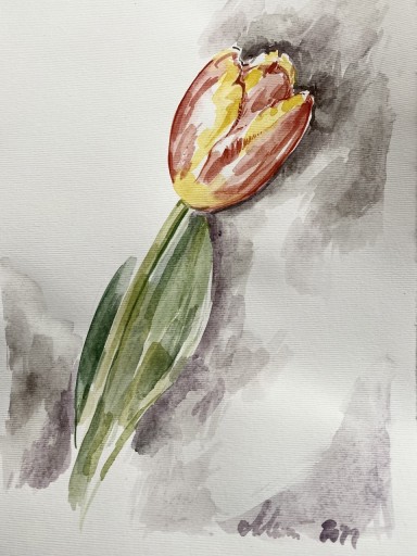 Zdjęcie oferty: „ Tulipan” piękna akwarela