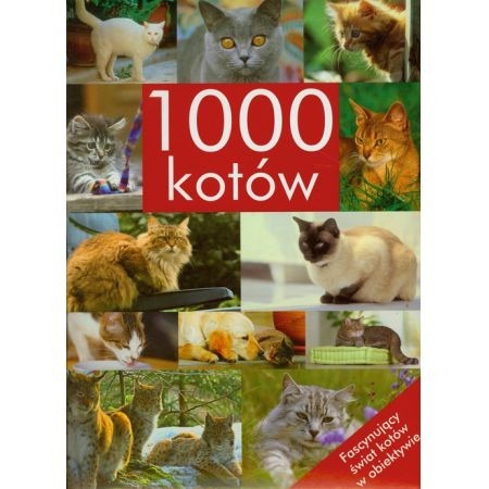 Zdjęcie oferty: 1000 kotów - Brigit Adam