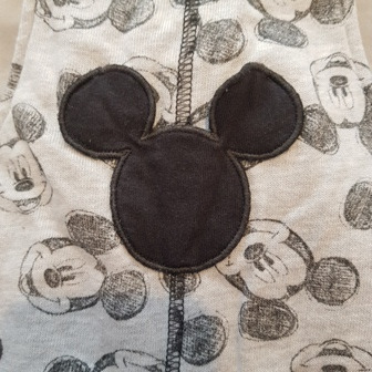 Zdjęcie oferty: Komplet ogrodniczki  body Disney roz. 80 9-12 m-cy