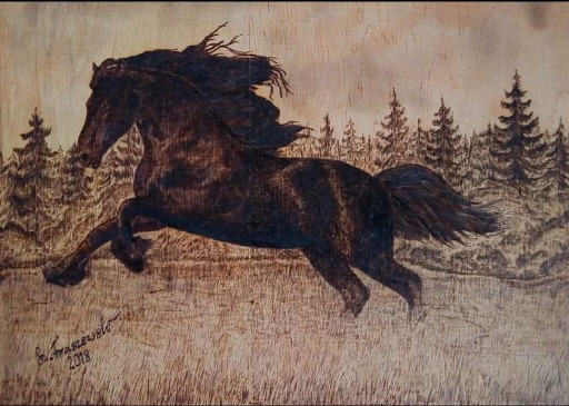 Zdjęcie oferty: Czarny koń-  pirografia, ręcznie wypalane