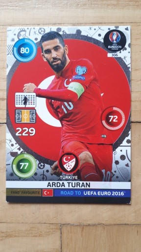 Zdjęcie oferty: ROAD TO EURO  2016 FANS TURAN NR.306