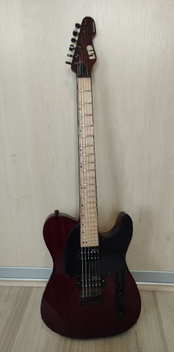 Zdjęcie oferty: Gitara Esp ltd Te-200