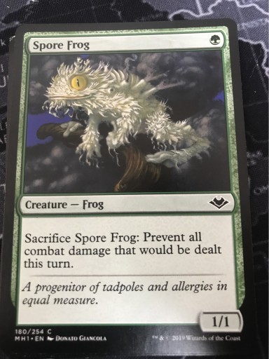 Zdjęcie oferty: Mtg: 4 x Spore Frog (MH1)