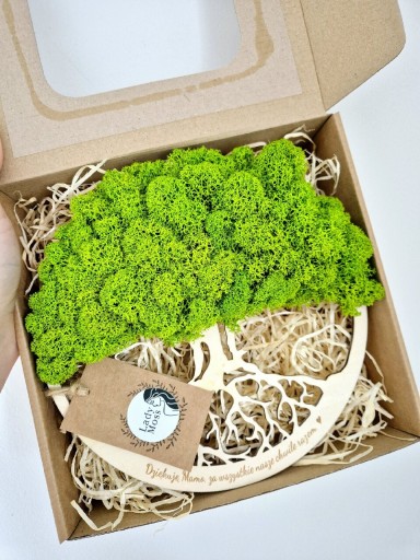 Zdjęcie oferty: Drzewko z Chrobotkiem Dziękuję Mamo, Prezent w Pudełku na Dzień Mamy, 20 cm