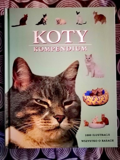 Zdjęcie oferty: Koty Kompendium