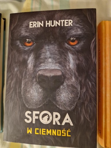 Zdjęcie oferty: Erin Hunter, Sfora, W Ciemność