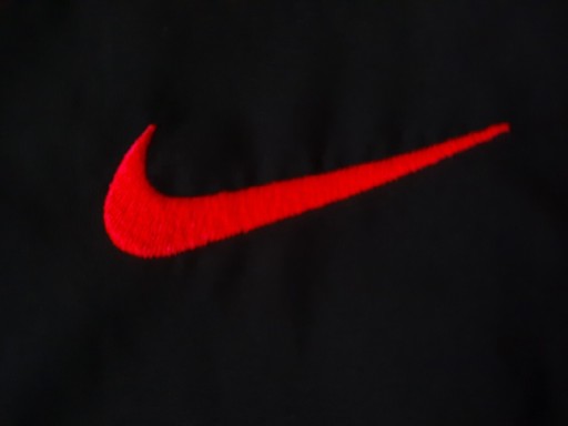 Zdjęcie oferty: Bluza Nike 147 -158