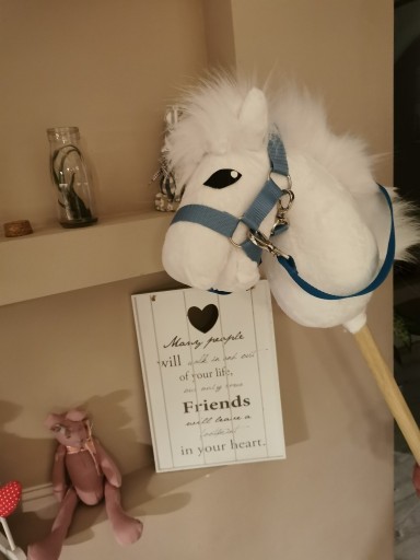 Zdjęcie oferty: Koń Hobby Horse na kiju - Frizzy + zestaw 