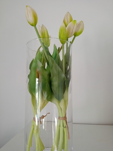 Zdjęcie oferty: Tulipany silikonowe/gumowe 5szt. Białe 