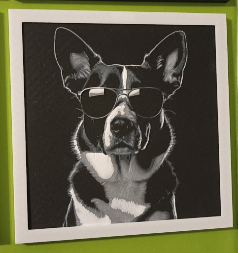 Zdjęcie oferty: Pies w okularach Obrazek Dekoracja na ścianę 3D