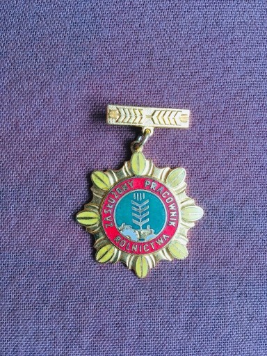Zdjęcie oferty: Odznaka zasłużony pracownik rolnictwa, oryginał