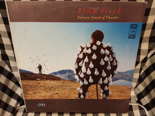 Zdjęcie oferty: Pink Floyd Delicate sound o   2LP.  NM