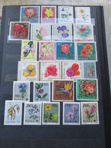 Zdjęcie oferty: Polska/Szwecja znaczki stare szt.36 kwiaty