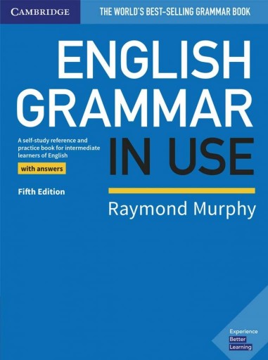 Zdjęcie oferty: English Grammar in Use Book without Answers Murphy