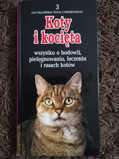 Zdjęcie oferty: Encyklopedia Życia Codziennego Koty i kocięta