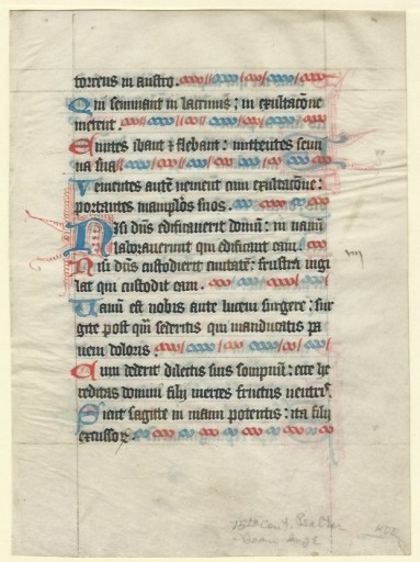 Zdjęcie oferty: Psalter. Illuminated Medieval Manuscript