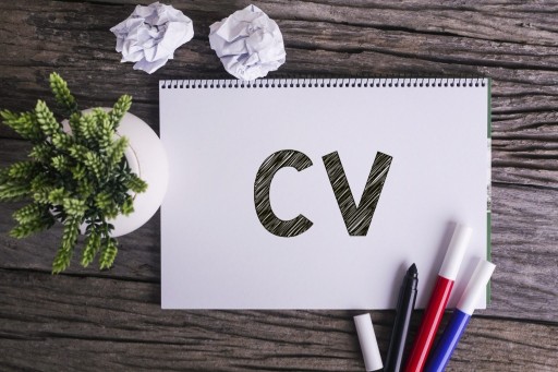 Zdjęcie oferty: Tworzenie profesjonalnego CV - oddaj to ekspertom!