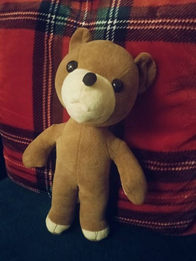 Zdjęcie oferty: Miś Uszatek maskotka pluszak  