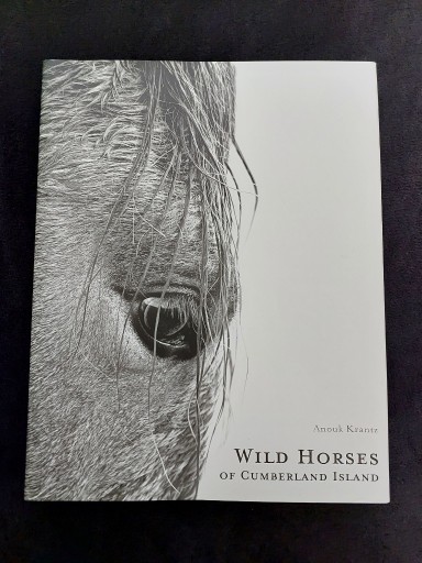 Zdjęcie oferty: Wild horses, Anouk Krantz