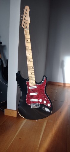 Zdjęcie oferty: Gitara Elektryczna Stratocaster - unikat TGS TM