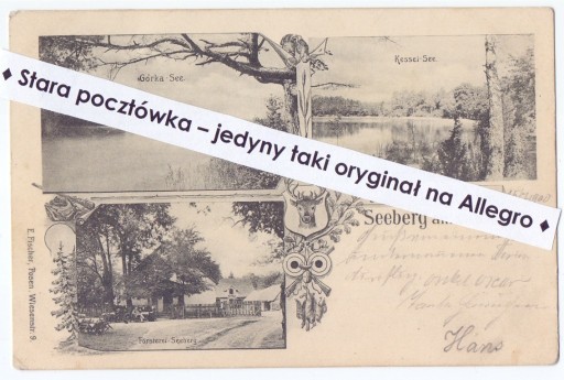 Zdjęcie oferty: JEZIORY (SEEBERG) k. Ludwikowo, Mosina, Poznań WPN