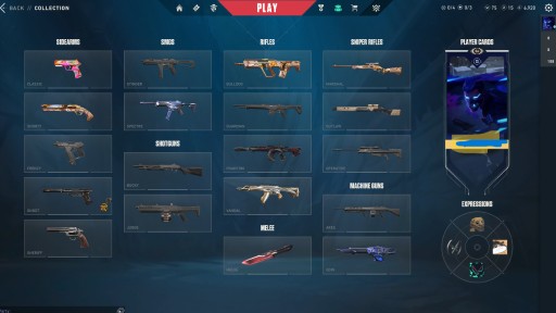 Zdjęcie oferty: konto valorant FA --- duzo skinów