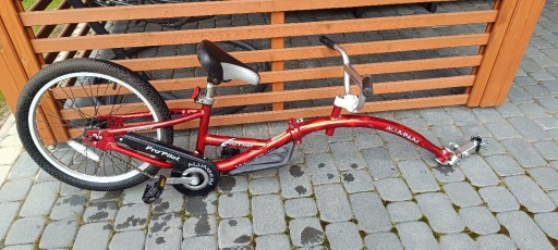 Zdjęcie oferty: WEERIDE Pro-Pilot przyczepka rowerowa 