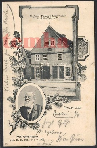 Zdjęcie oferty: ŚWIDWIN Schivelbein dom prof. Virchov 1902