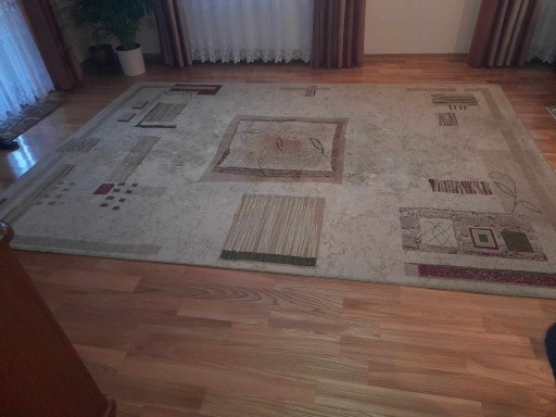 Zdjęcie oferty: Dywan 2,4m x 3,3m