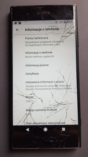 Zdjęcie oferty: Wyświetlacz Sony XA1 PLUS G3412 oryginalny