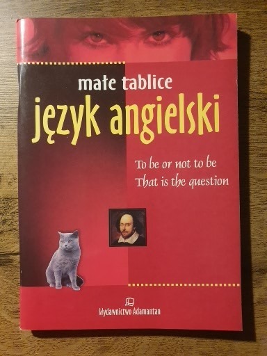 Zdjęcie oferty: Język angielski.Małe tablice.Wstęp Witold Mizerski