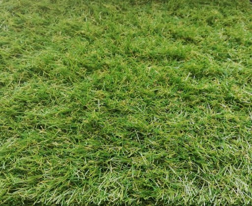 Zdjęcie oferty: Sztuczna trawa 3cm gęsta i miękka naturalny kolor
