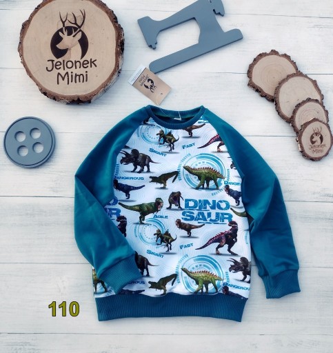 Zdjęcie oferty: Bluza dresowa handmade chłopięca dinozaury r. 110