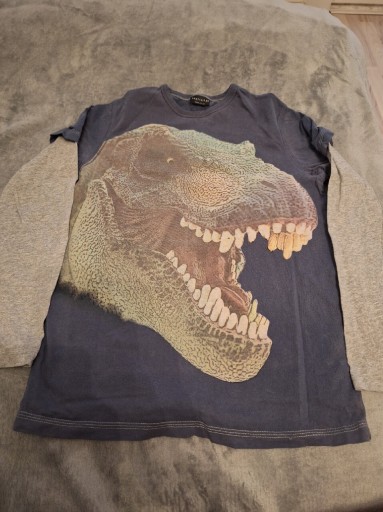 Zdjęcie oferty: Koszulka dziecięca z dinozaurem T-Rex – rozmiar [S]