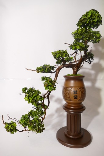 Zdjęcie oferty: drzewko bonsai sztuczne