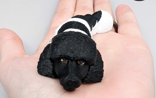 Zdjęcie oferty: Brelok pudla Pudel wydruk 3d Różne kolory