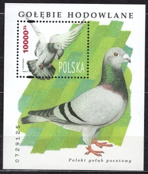 Zdjęcie oferty: Fi. Bl. 156 (112) Gołębie hodowlane