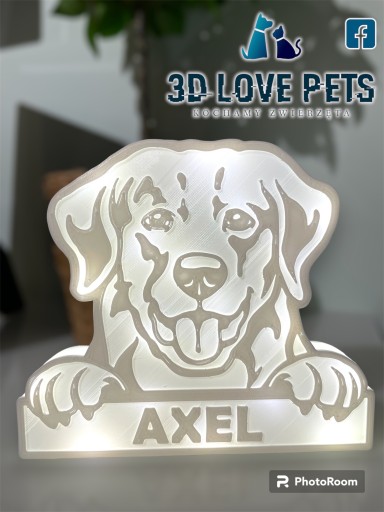 Zdjęcie oferty: Figurka, lampka 3D Golden Retriever (imię psa)