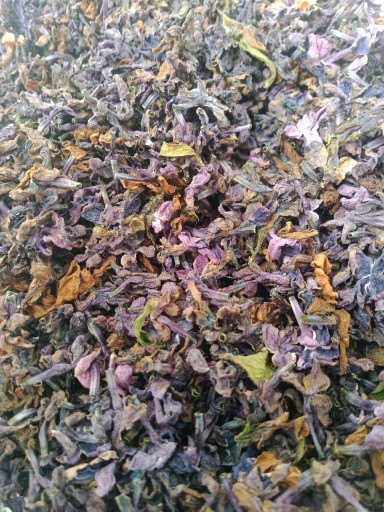 Zdjęcie oferty: Herbatka z Kwiatów bzu lilaka  - 10 g 