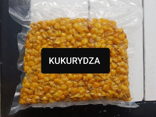 Zdjęcie oferty: KUKURYDZA 1 KG GOTOWA ZANĘTA 