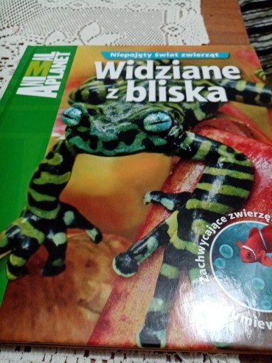 Zdjęcie oferty: Niepojęty świąt zwierząt Widziane z bliska