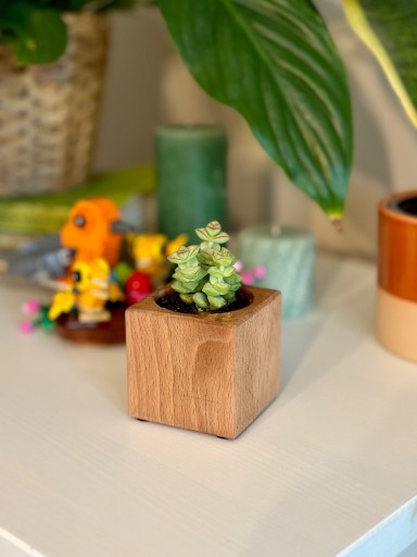 Zdjęcie oferty: Mała drewniana doniczka - 5.6x5.6cm - handmade