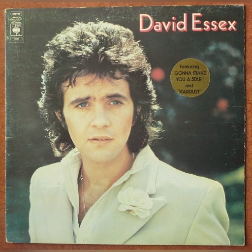 Zdjęcie oferty: LP DAVID ESSEX Gonna Make You A Star 1974 Stardust