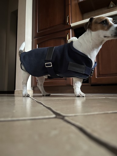 Zdjęcie oferty: Derka płaszczyk dla psa polarowa klasyczna 41 cm
