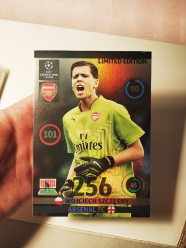 Zdjęcie oferty: Wojciech Szczęsny XXL Panini limited  2013-14