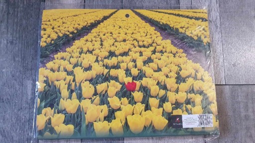 Zdjęcie oferty: Kalendarz 2024r Trójdzielny Tulipany. NOWY! Folia.