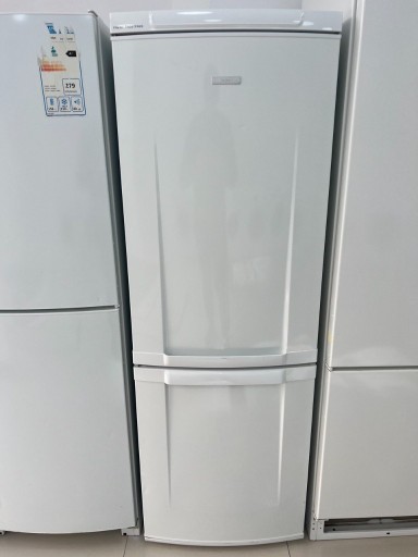 Zdjęcie oferty: Lodówka Electrolux 160 cm