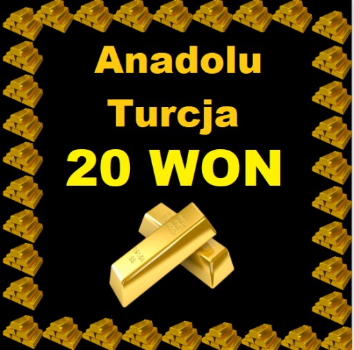 Zdjęcie oferty: METIN2 TURCJA ANADOLU 20 WON 20W WONY YANG